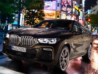 Головоломка BMW X6 M50i