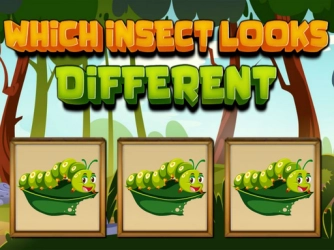 Какое насекомое выглядит по-другому