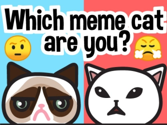 Какой ты кот-мем?