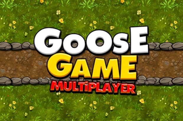 Многопользовательская игра Goose