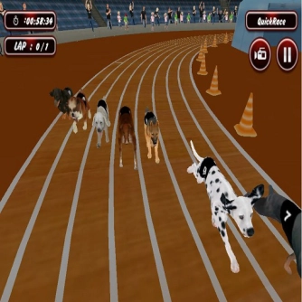 Настоящая игра-симулятор собачьих бегов 2020