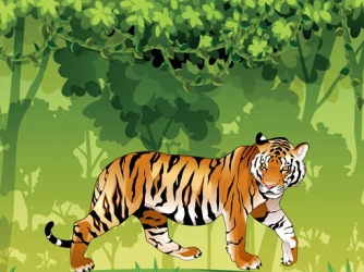 Раскраска Сердитый Тигр