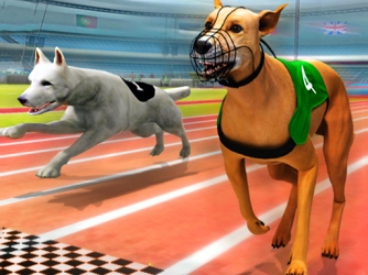 Симулятор реальных собачьих бегов 3D
