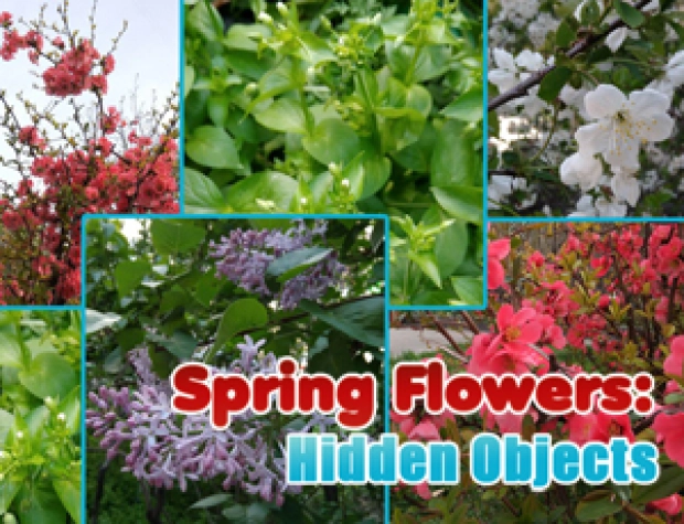 Весенние цветы: Поиск предметов