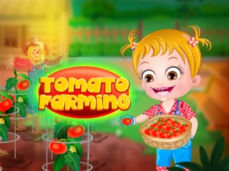 Выращивание томатов Baby Hazel