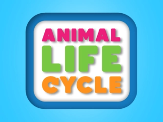 Жизненный цикл животного